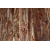 4” x 3/4" universal rustic acacia hardwood flooring