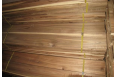 Long leaf Acacia VS  Short Leaf Acacia
