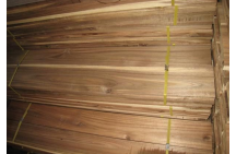 Long leaf Acacia VS  Short Leaf Acacia